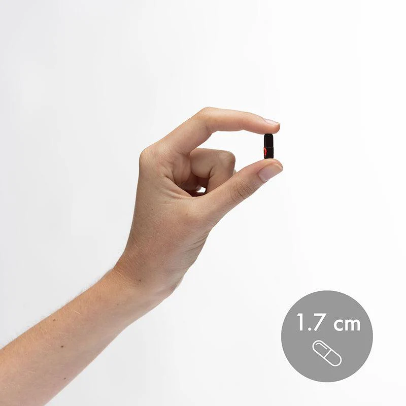 Miniatyr 2